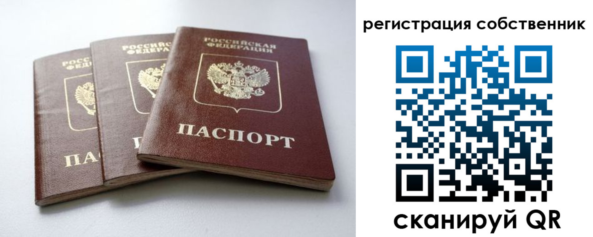 прописка для школы в Черепаново